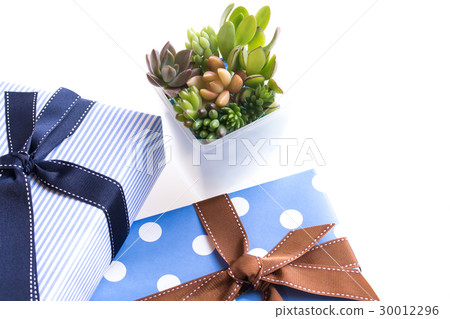 Tie ribbon gift Tie ribbon gift 30012296