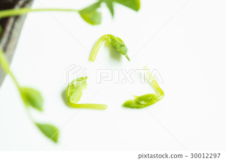 Recycling of bean seedlings Recycling of bean seedlings 30012297