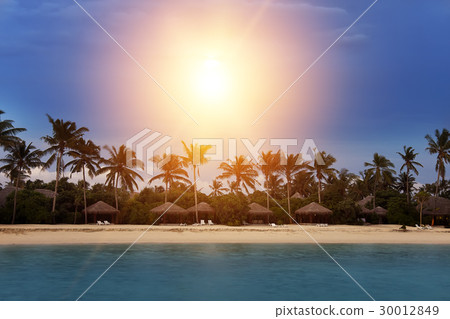 Palm trees silhouette and a sunset over the sea 30012849