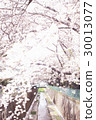 神田河的櫻花 30013077