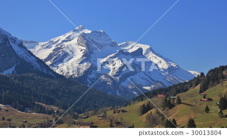 Oldenhorn in spring 30013804