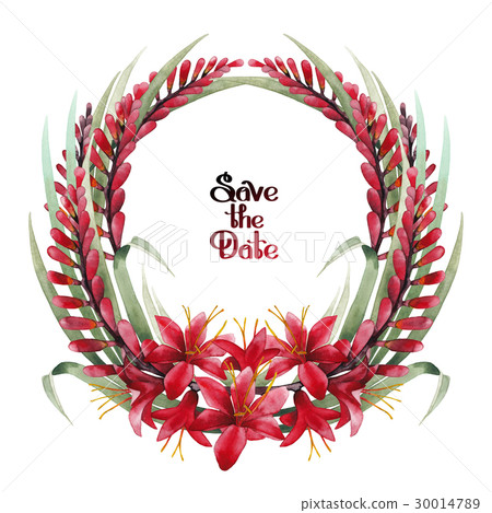 Watercolor crocosmia wreath Watercolor crocosmia wreath 30014789