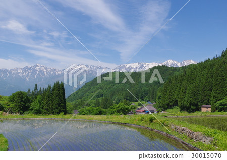 Shinshu Hakuba village blue ogre (Ao) Settlement area traditional building group from the rice terrace trailing the North Alps Shinshu Hakuba village blue ogre (Ao) Settlement area traditional building group from the rice terrace trailing the North Alps 30015070