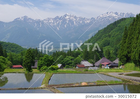 Shinshu Hakuba village blue ogre (Ao) Settlement area traditional building group from the rice terrace trailing the North Alps 30015072