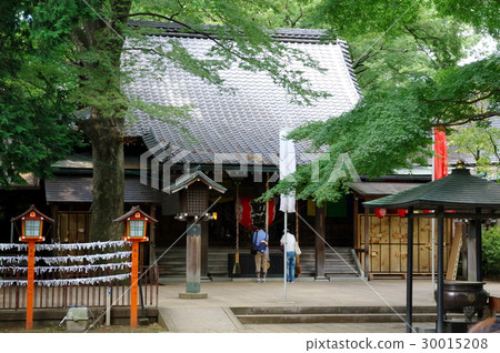 Todoroki Fudoson Todoroki Fudoson 30015208