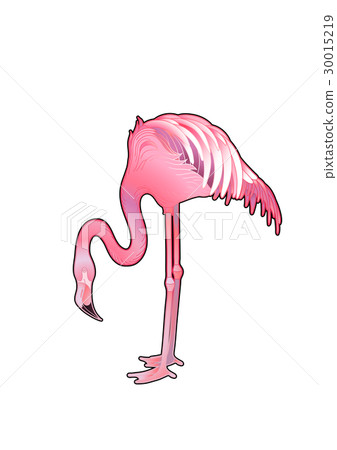 Cute graphic flamingo 30015219