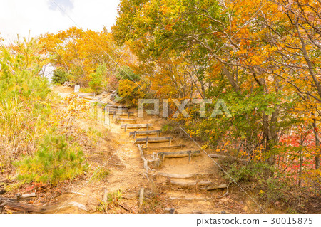 國頭登山路 30015875