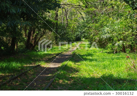 Seibu Annina line 30016132