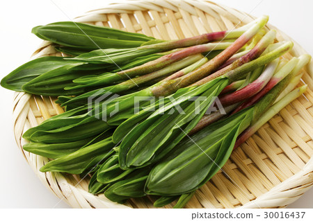 Granger garlic Granger garlic 30016437