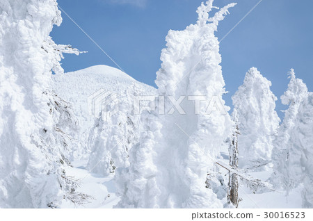 Hakkoda-san Odake 30016523