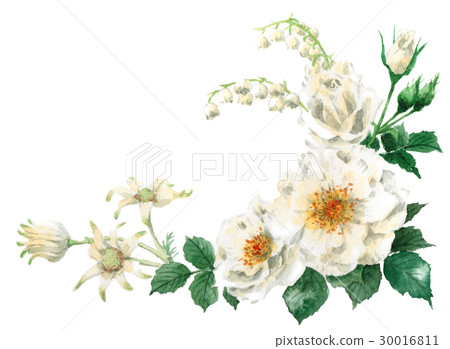 白花框架材質吧 30016811