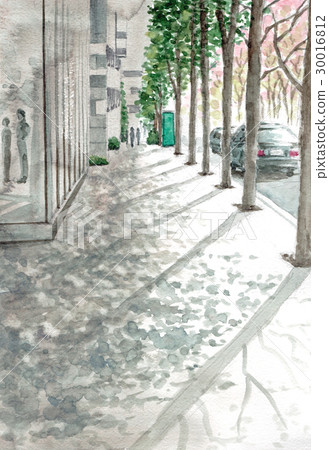 城市綠化的大道 30016812