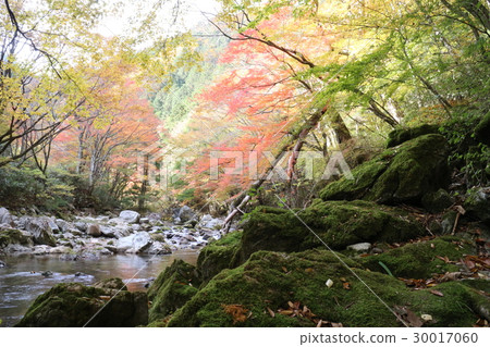 Odagariyama谷秋葉 30017060