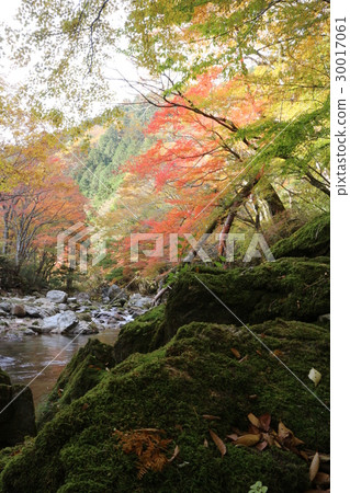 Odagariyama谷秋葉 30017061