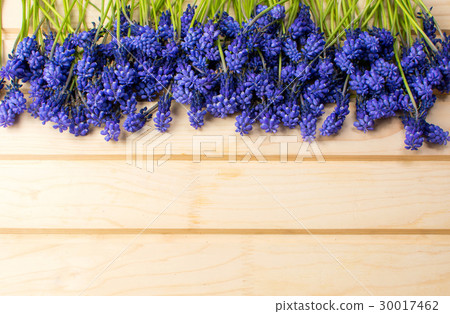 Hyacinth flowers on a wooden board 30017462