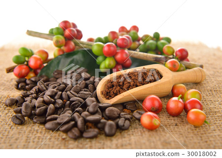 coffee beans and roasted coffee bean  on white 30018002