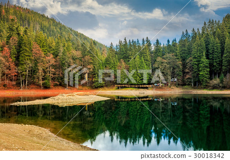 pier on mountain Lake in Synevir National Park pier on mountain Lake in Synevir National Park 30018342