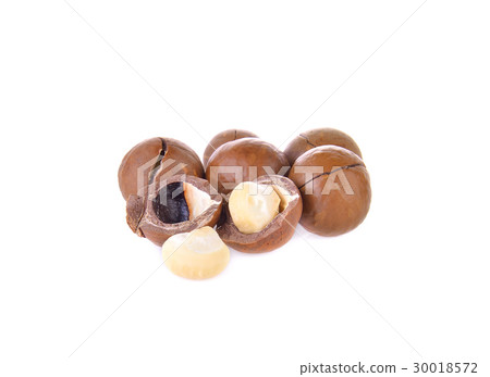 Macadamia nut on white background 30018572