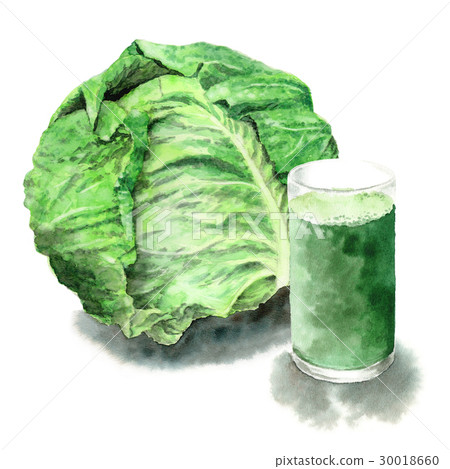 玻璃杯中的模擬水彩捲心菜和綠汁 玻璃杯中的模擬水彩捲心菜和綠汁 30018660