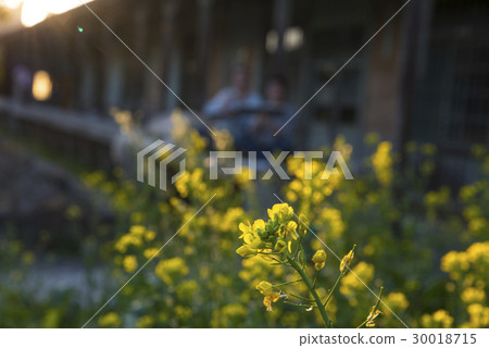 National Taiwan University Campus National Taiwan University Campus 30018715