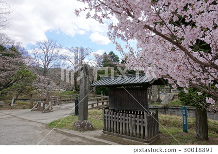 Tatsuokajo Otemasu口（4月） 30018891