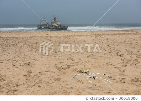 Shipwreck on beach, Skeleton Coast, Namibia 30019006