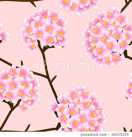 Pink Trumpet Flower on Beige Ivory Background.  30019105