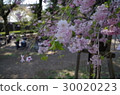 Dirty cherry 30020223