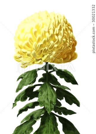 Daiki Illustration 30021332