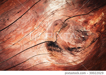 A detail of cut old wood 30022029