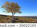 Autumn in the mountains 30022165
