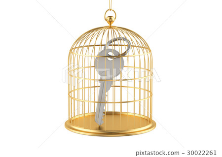 Birdcage with key inside, 3D rendering Birdcage with key inside, 3D rendering 30022261