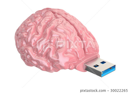 Brain USB flash drive, knowledge concept 30022265