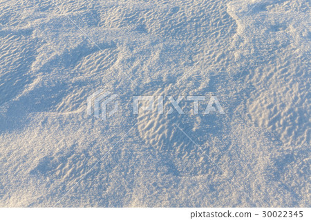 Photo snow, close-up Photo snow, close-up 30022345