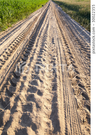 Rural road in the field Rural road in the field 30022355