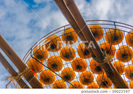 Taiwan Hsinchu dried persimmon Taiwan Hsinchu dried persimmon 30022597