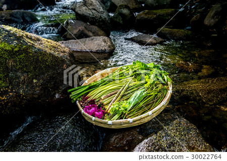 什錦野菜 30022764
