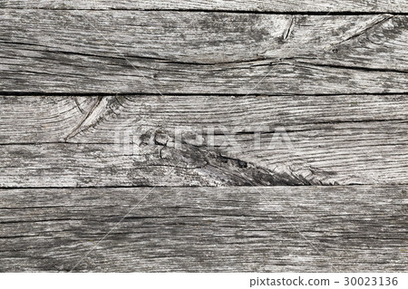 split the old tree 30023136