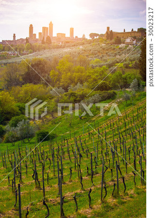 old town San Gimignano 30023217