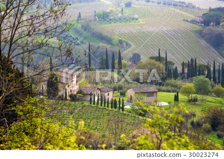 Typical Tuscan landscape 30023274