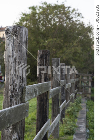 Taitung Farm 30023935