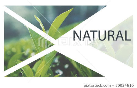 Fresh Food Healthy Lifestyle Organic Fresh Food Healthy Lifestyle Organic 30024610