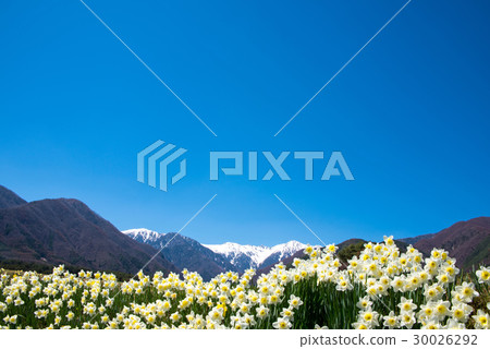 我希望來自Komagatake Shinshu Komagane 30026292