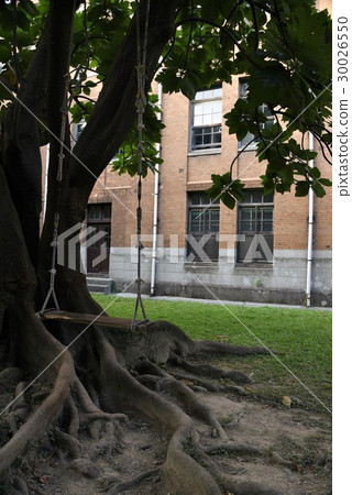 台大 台大 30026550