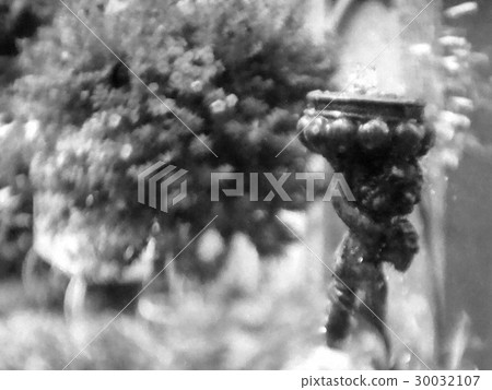 Black and white watercolor statue Cupid in the fl Black and white watercolor statue Cupid in the fl 30032107