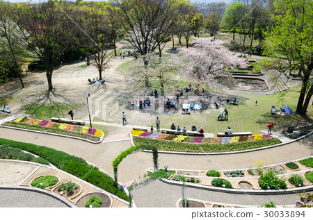 福岡市植物園溫室草坪廣場 福岡市植物園溫室草坪廣場 30033894