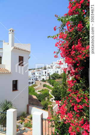 Bougainvillea and the city of Frigiliana Bougainvillea and the city of Frigiliana 30034671