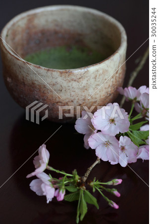 Sakura and Matcha 30035244