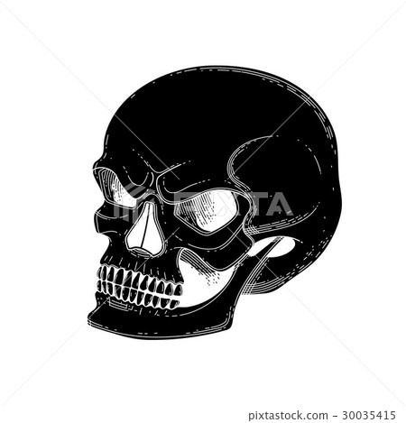 Graphic skull with fearful smile Graphic skull with fearful smile 30035415