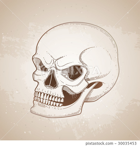 Graphic skull with fearful smile 30035453